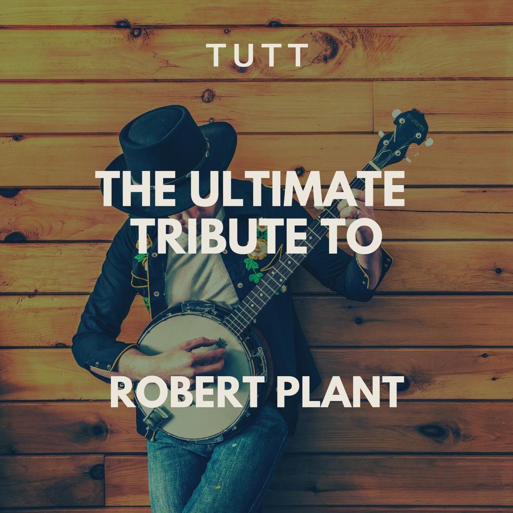 Big Log (Karaoke Version Originally Performed By Robert Plant)