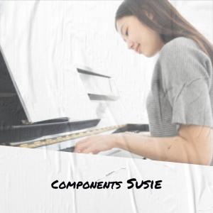 Listen to Components Susie song with lyrics from Mida Katr