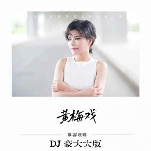 Album 黄梅戏 (DJ豪大大版) from 