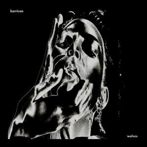 收聽Harrisun的wolves (i need u now)歌詞歌曲