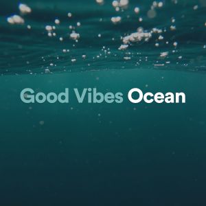 Good Vibes Ocean dari Ocean Waves for Sleep