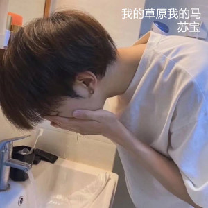 Listen to 真没睡 song with lyrics from 苏宝