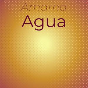 อัลบัม Amarna Agua ศิลปิน Various