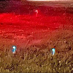 ดาวน์โหลดและฟังเพลง classroom พร้อมเนื้อเพลงจาก Sqeffy