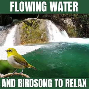 收听For The Brain的Relaxing Songs歌词歌曲