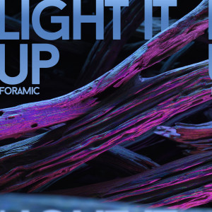 Album Light It Up from Foramic