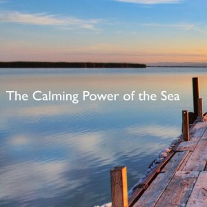 Ocean Sound Spa的專輯The Calming Power of the Sea