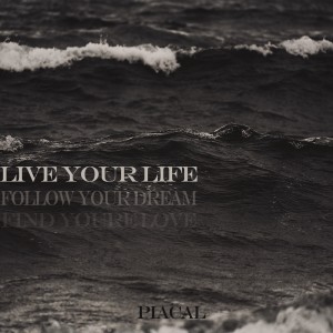 收听PIACAL的Live Your Life歌词歌曲
