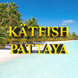 ดาวน์โหลดและฟังเพลง Pattaya พร้อมเนื้อเพลงจาก Kätfish