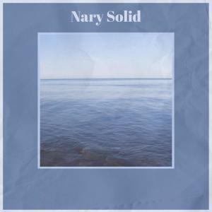 Various的专辑Nary Solid