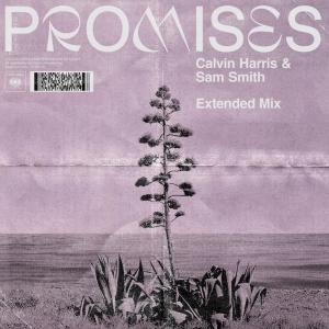 Calvin Harris的專輯Promises (Extended Mix)