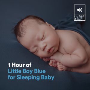 1 Hour of Little Boy Blue for Sleeping Baby