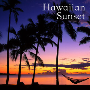 ดาวน์โหลดและฟังเพลง Aloha พร้อมเนื้อเพลงจาก Hawaiian Surfers