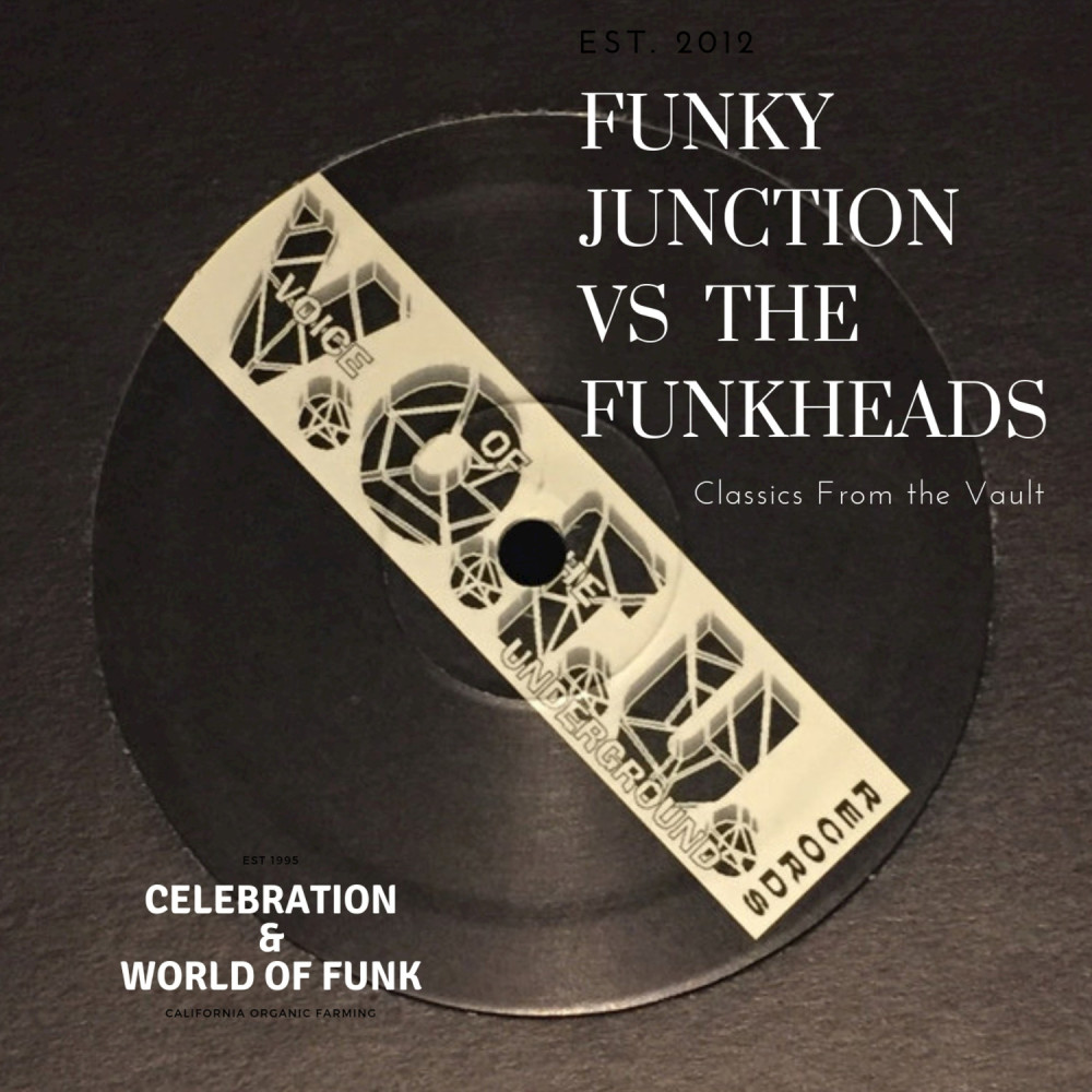 World of Funk (The Funk Mix Instrumental)