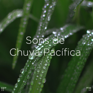 ดาวน์โหลดและฟังเพลง 雨の音をリラックス พร้อมเนื้อเพลงจาก Meditation Rain Sounds