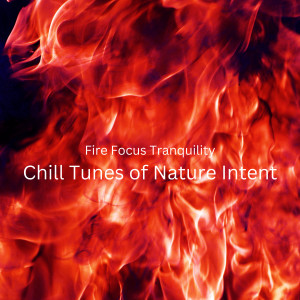 收聽Fire Fruits Sounds的Concentrated Ember Glow歌詞歌曲