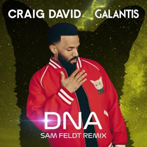 Craig David的專輯DNA (Sam Feldt Remix)