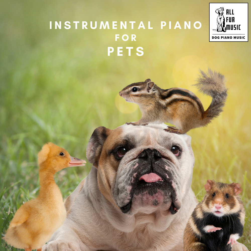 Pet's Peaceful Pianos