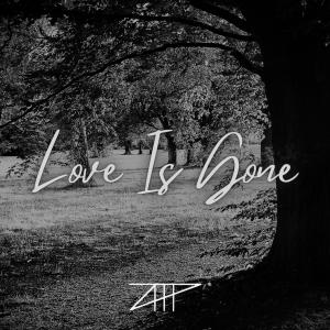 收听Altay Tuna POLAT的Love Is Gone (feat. Loraina)歌词歌曲