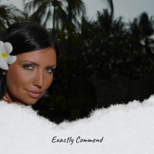 收聽Glene Heler的Exactly Commend歌詞歌曲