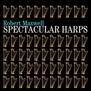 收听Robert Maxwell的The Simple Things歌词歌曲