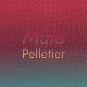 收听Mirla Hena的Celebrate Homie歌词歌曲