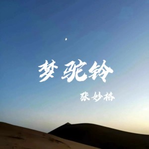 Listen to 梦驼铃 (完整版) song with lyrics from 张妙格