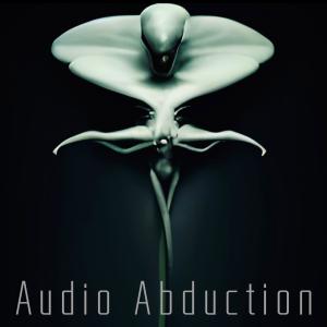 finn.的專輯Audio Abduction