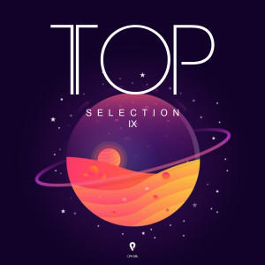 Album TOP Selection IX from Various Artists