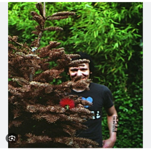 BKGD Audio的專輯Beauty In The Trees