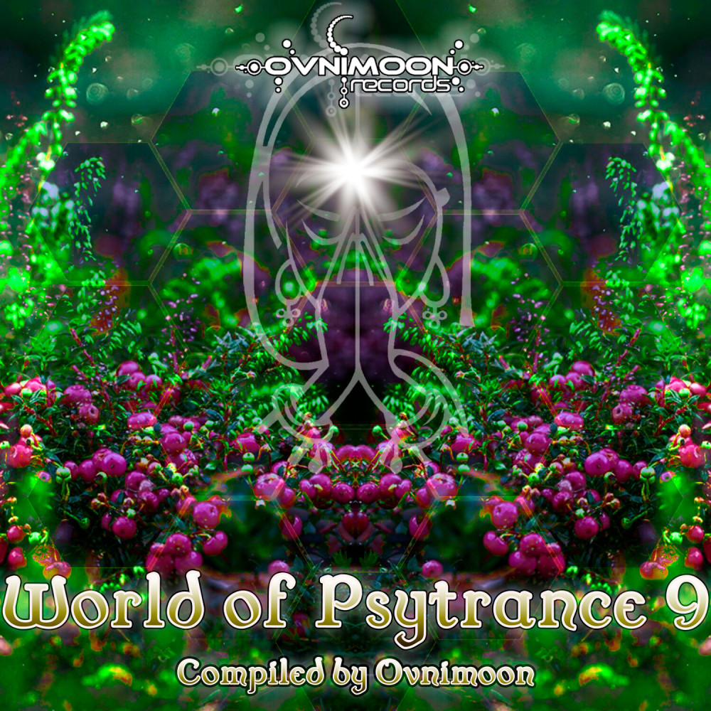 Power of the Mind (Original Mix)