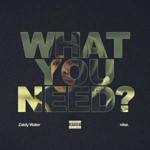 ดาวน์โหลดและฟังเพลง What You Need? (Explicit) พร้อมเนื้อเพลงจาก Zaldy Water