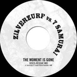 Album The Moment Is Gone from Zilverzurf