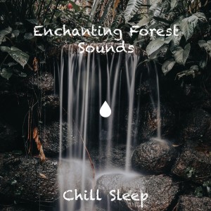 ดาวน์โหลดและฟังเพลง Serene Forest Serenade พร้อมเนื้อเพลงจาก Chill Sleep