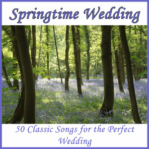 ดาวน์โหลดและฟังเพลง Ode to Joy พร้อมเนื้อเพลงจาก Classical Wedding Music Experts