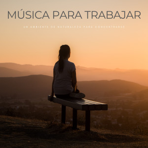 Musica para Concentrarse的專輯Música Para Trabajar: Un Ambiente De Naturaleza Para Concentrarse