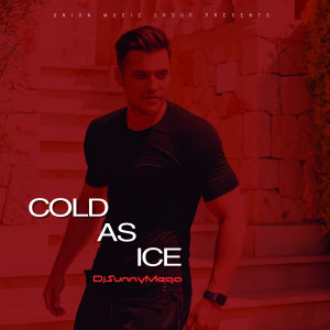 DjSunnyMega的专辑Cold as Ice