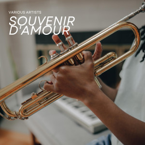 Listen to Souvenir D'amour song with lyrics from Lolita Seemann