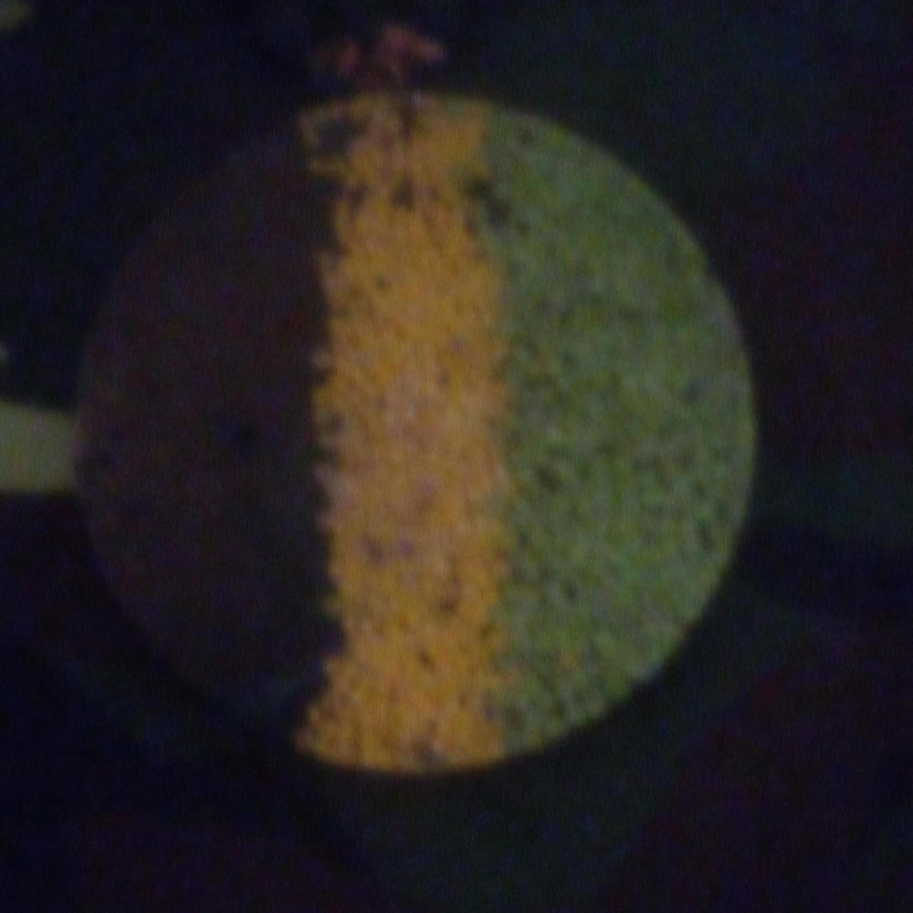 Short bus shit (Explicit)