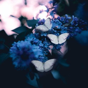 收听RvR的Farewell歌词歌曲