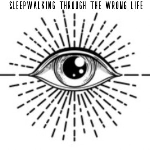 อัลบัม Sleepwalking Through The Wrong Life ศิลปิน Jonny Polonsky