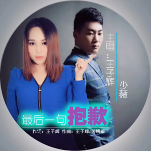 Listen to 最后一句抱歉 (伴奏) song with lyrics from 王子辉