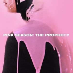 收聽Pink Guy的Are You Serious (Axel Boy Remix)歌詞歌曲