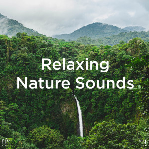Listen to Serenity Music song with lyrics from Yoga