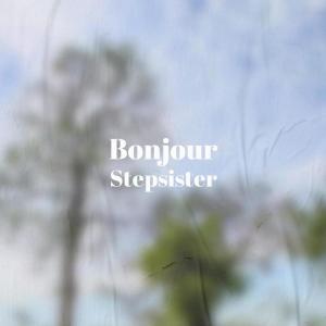 Various的专辑Bonjour Stepsister