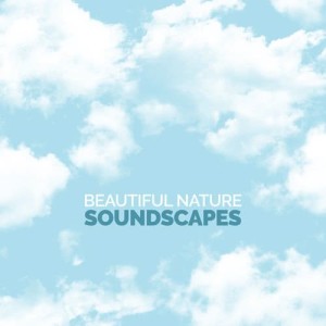 收聽Outside Broadcast Recordings的Morning Bird Hide歌詞歌曲