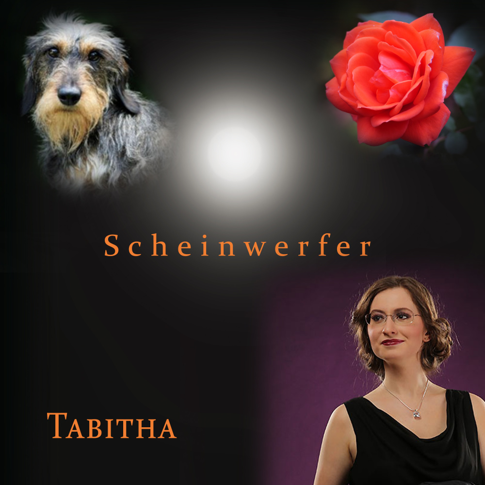Scheinwerfer