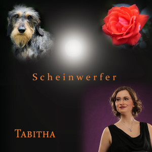 อัลบัม Scheinwerfer ศิลปิน Tabitha