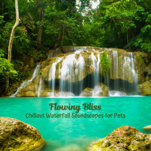 Album Flowing Bliss: Chillout Waterfall Soundscapes for Pets oleh Water FX