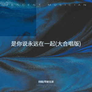 Listen to 是你说永远在一起 （大合唱版） (完整版) song with lyrics from 田园